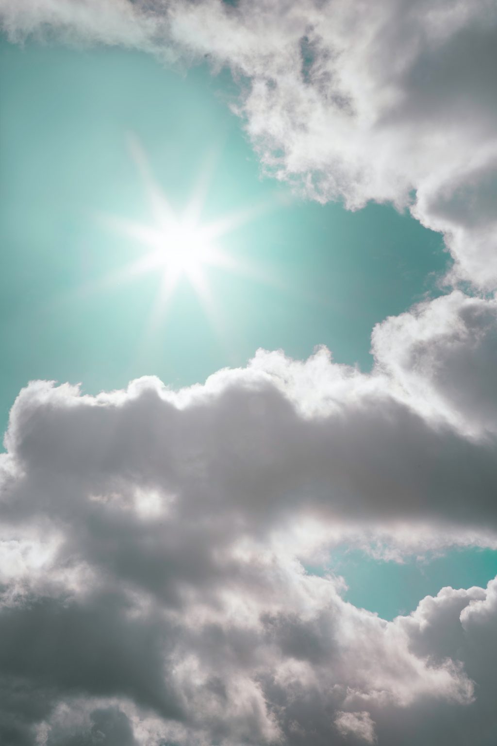 Plan canicule - Mairie d'Arcangues - Pays Basque - by Ryan Kwok