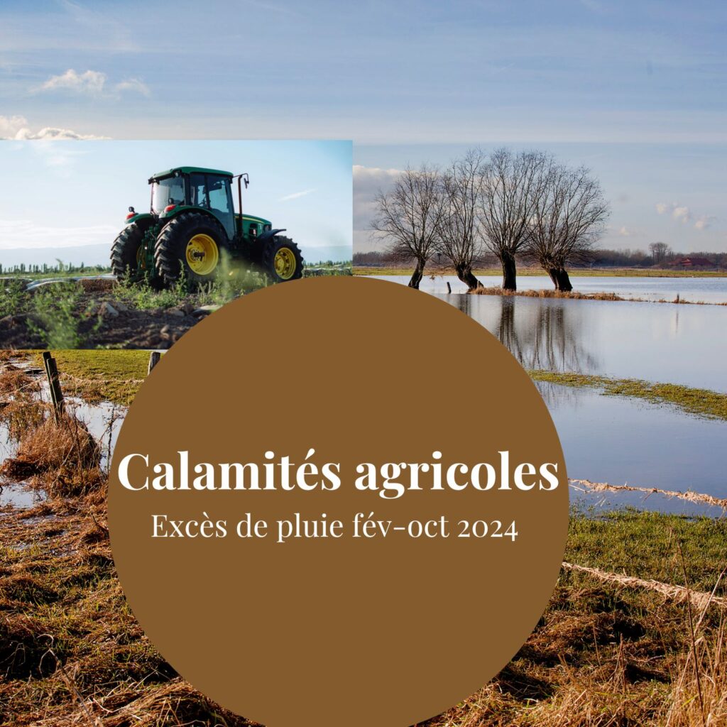 CALAMITES AGRICOLES